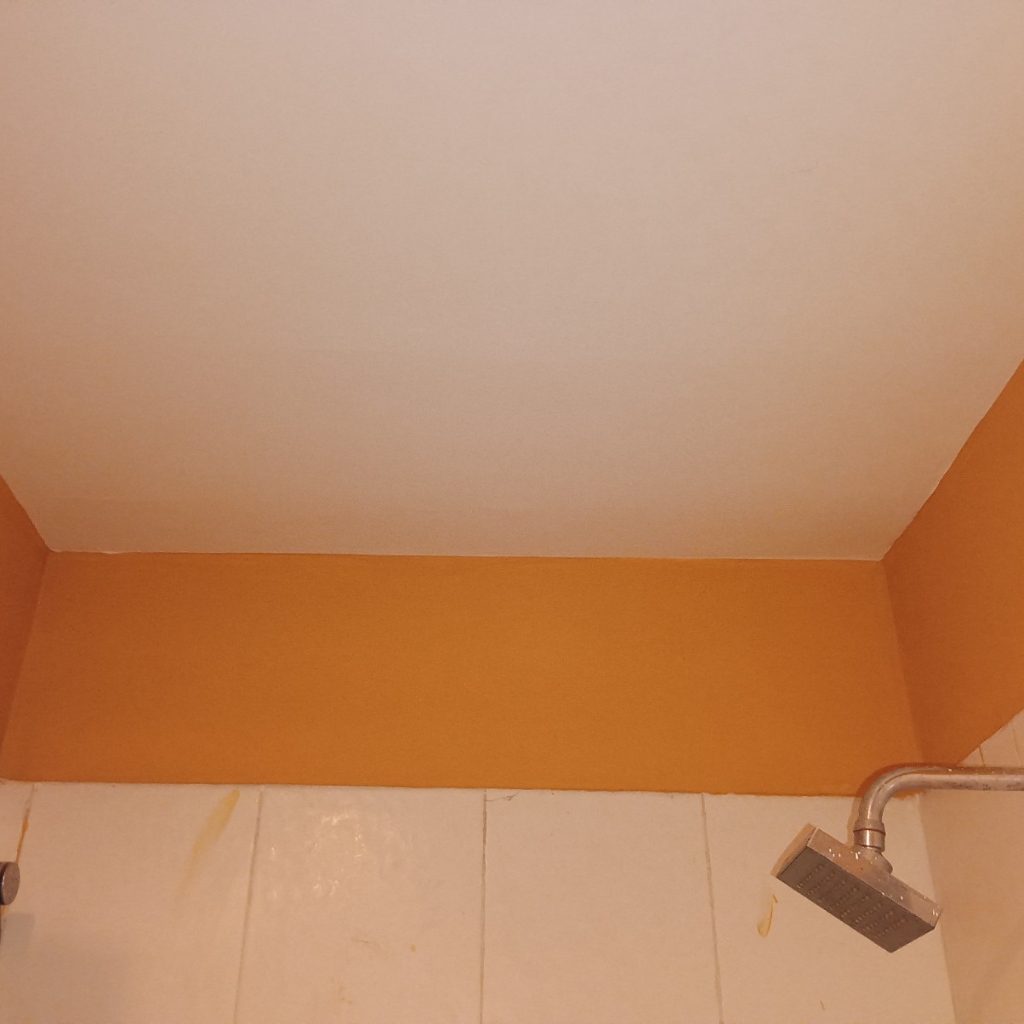 Before Image 2